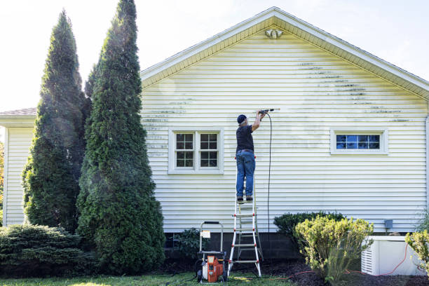Best House Exterior Washing  in Knoxville, IA